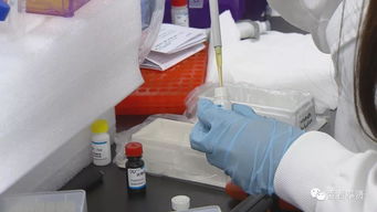 华源走访东方美谷核心园区，探访新入驻生物科技企业研发新动态